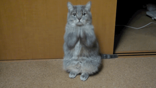 ファイル 207-1.gif