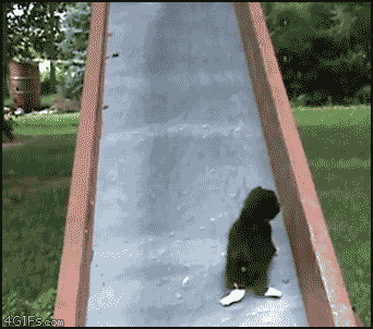 ファイル 281-1.gif