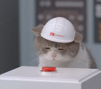ファイル 570-1.gif
