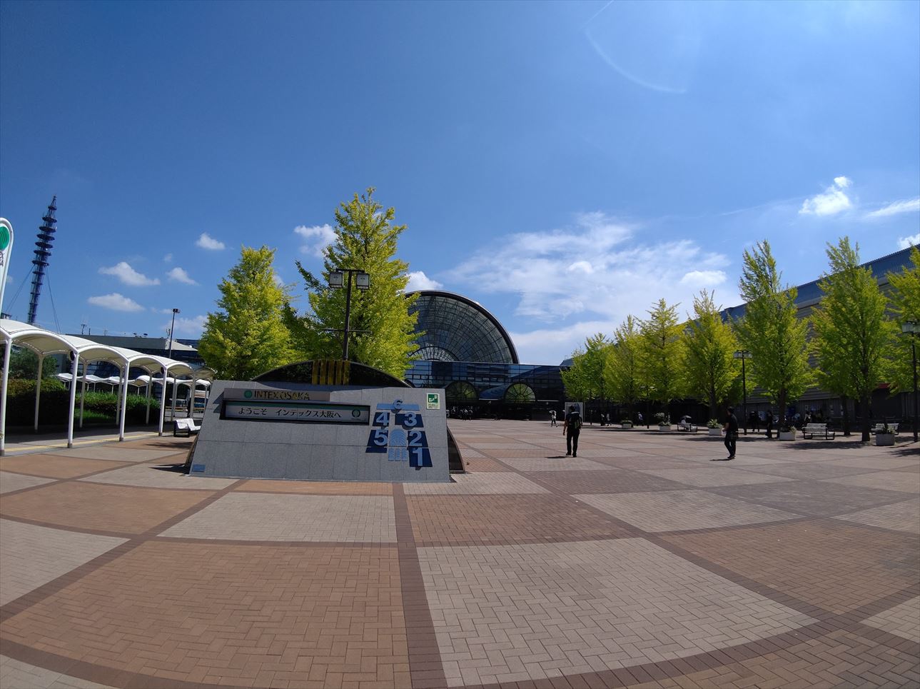 ファイル 981-1.jpg