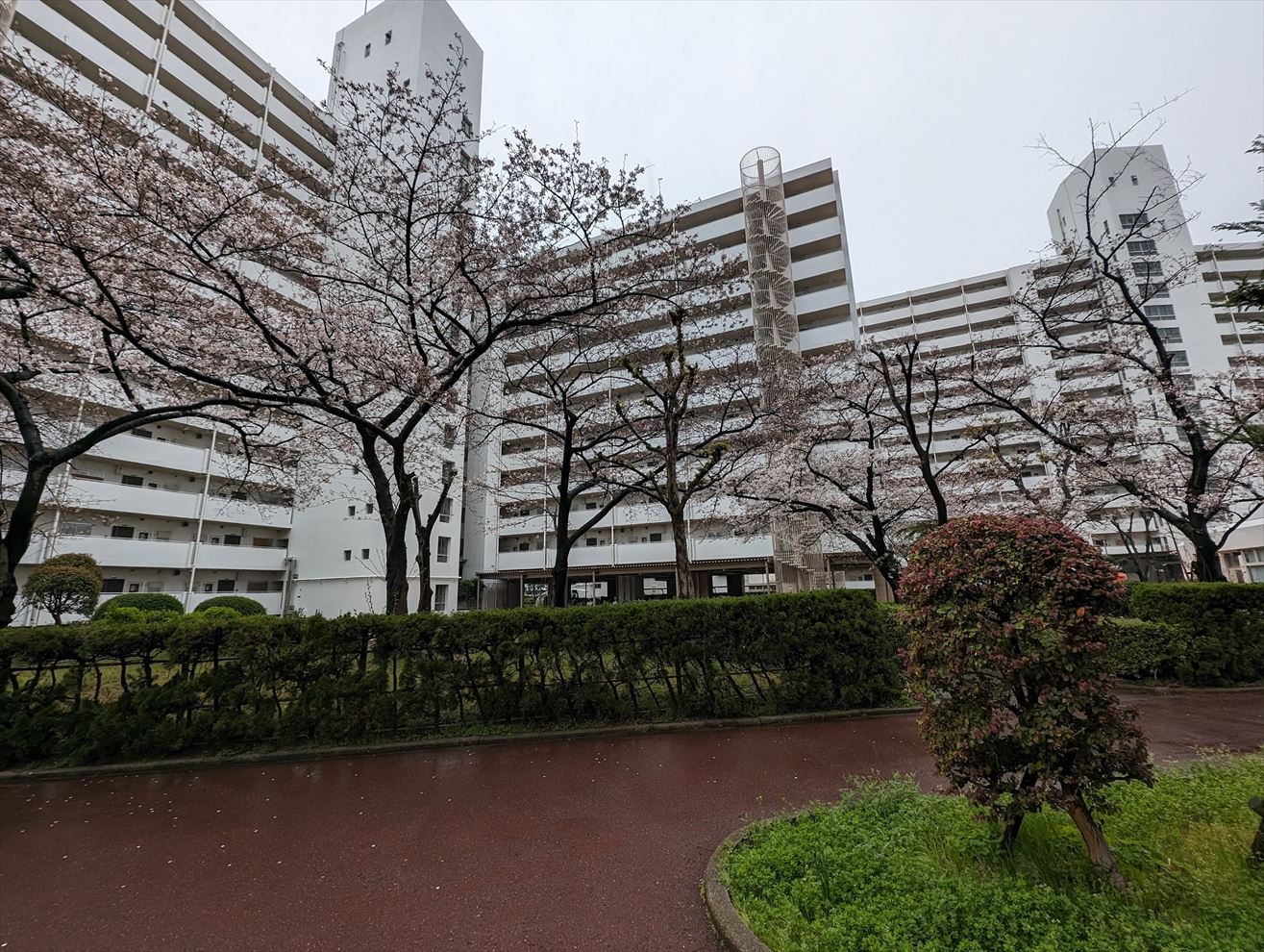 ファイル 995-1.jpg