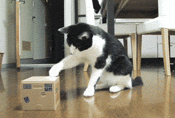 ファイル 514-1.gif