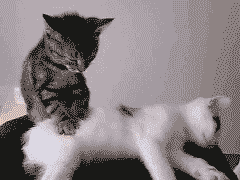 ファイル 548-2.gif