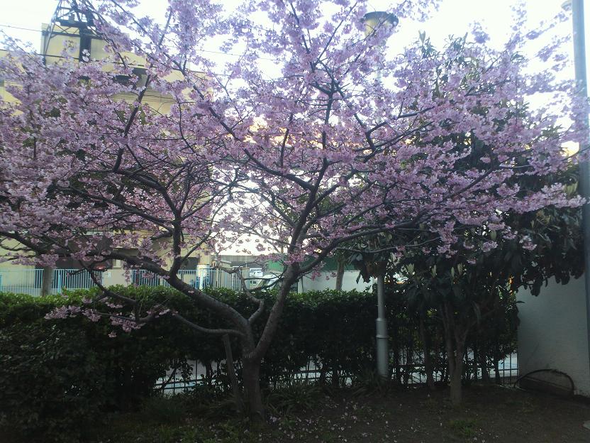 ファイル 555-2.jpg