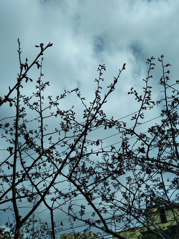 ファイル 833-1.jpg